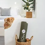 Mod Santorini Vegan 酒店 5*