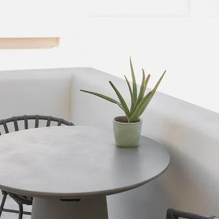Mod Santorini Vegan Fira (Santorini)