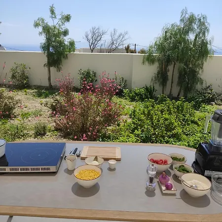 Hotel Mod Santorini Vegan *